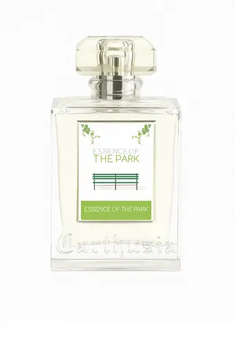 D&G K BY EDT 50 ML VAPO