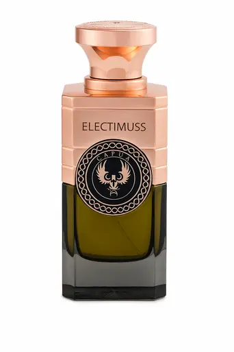 FUGAZZI SAINT REMY EXTRAIT 50 ML